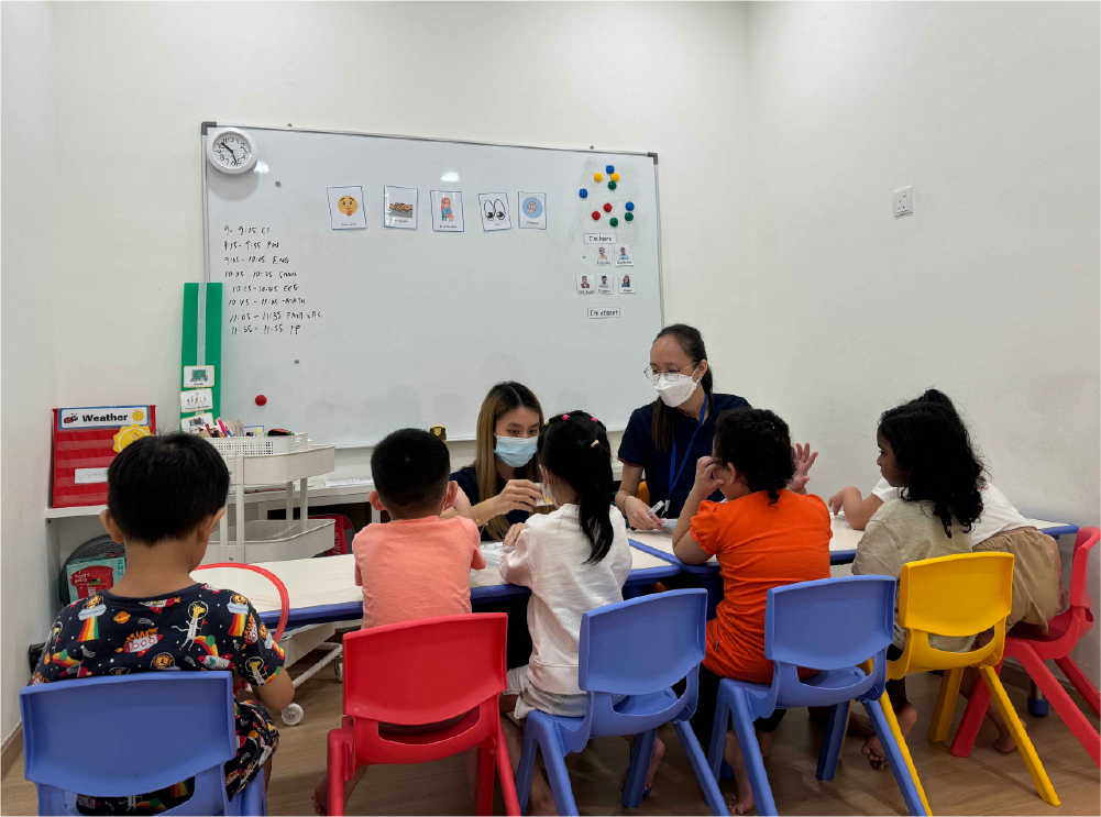 Early Intervention Programme (EIP)
